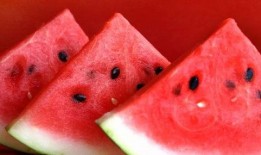 各种网红大瓜免费吃,揭秘娱乐圈幕后风云